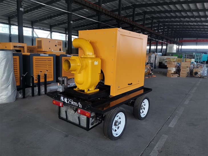 8inch Self Priming Sewage Pump/movable Water Pump